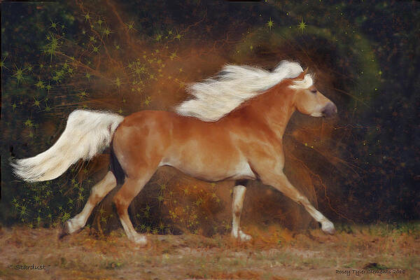 Stardust by Posey Clements Stardust by Posey Clements