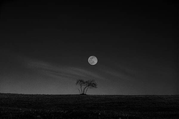 Wall Art - Photograph - Stories Under The Moon (no.2) by Hsiao-yang Fei