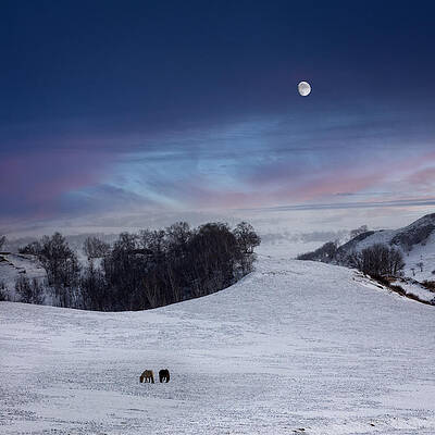 Wall Art - Photograph - Stories Under The Moon (no.9? by Hsiao-yang Fei