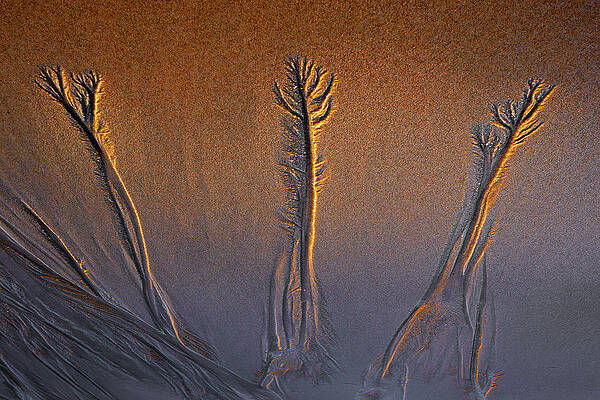 Wall Art - Photograph - Structures At The Beach In The Light Of The Sunrise by Bodo Balzer