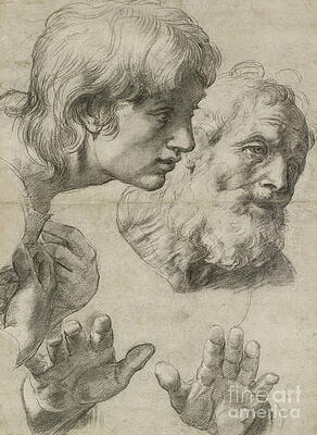 Wall Art - Painting - Studies Of The Heads Of Two Apostles And Of Their Hands By Raphael by Raphael