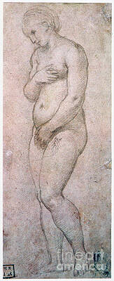 Wall Art - Drawing - Study Of Venus, C1500-1520. Artist by Print Collector