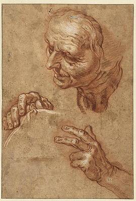 Wall Art - Painting - Study sheet with the head of an old woman and two hands. by Abraham Bloemaert