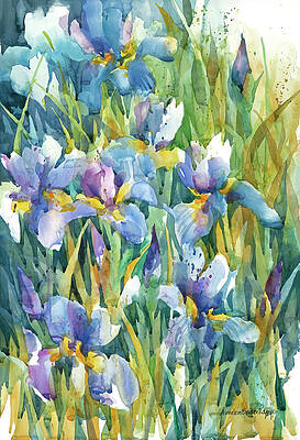 Iris Paintings (Page #3 of 35) | Fine Art America