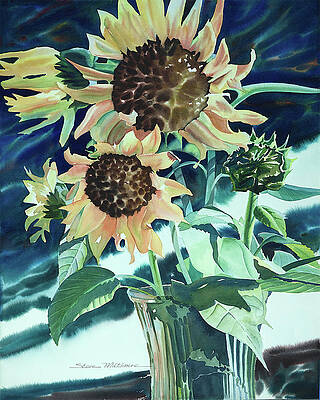 Sun Flowers by Steve Miltimore