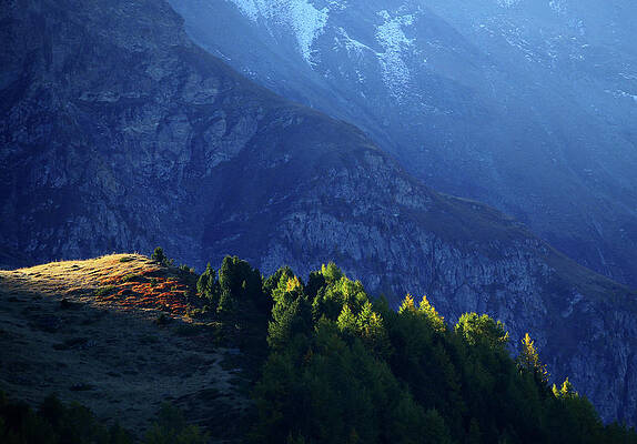 Wall Art - Photograph - Sunrays Light Trees on an Autumn by Denis Balibouse
