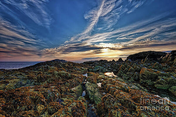 Sunrise at Nantasket Beach3, Hull, MA by Mark OConnell Sunrise at Nantasket Beach3, Hull, MA by Mark OConnell