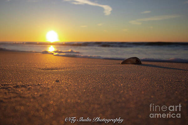 Sunrise at the Beach by Ty Shults Sunrise at the Beach by Ty Shults