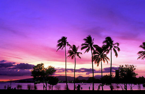 Art Photography Tropical Sunset