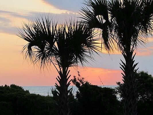 Sunset by Laura Bailey