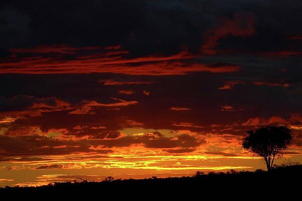 Wall Art - Photograph - Sunset Over Bushveld. Northern Tuli by Roger De La Harpe