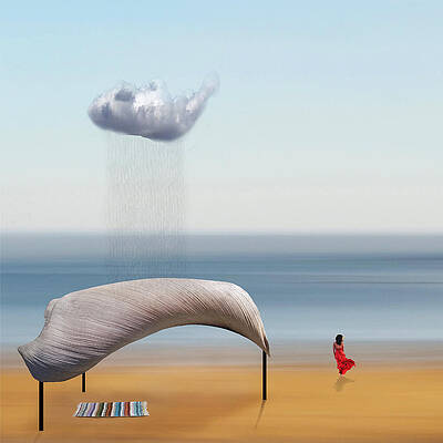 Wall Art - Photograph - Sunshield by Peter Hammer