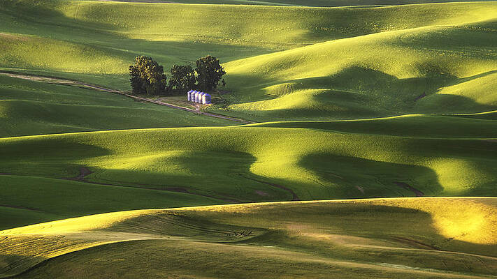 Wall Art - Photograph - Sunshine by Aidong Ning