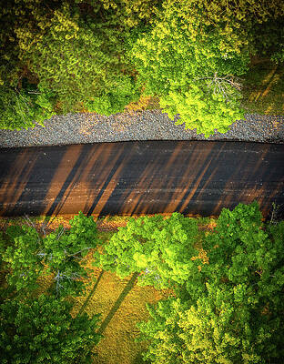 Wall Art - Photograph - Sunshine Sunset Arnold Park by Anthony Giammarino
