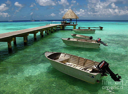 Tahitian Waters by Terri Brewster Tahitian Waters by Terri Brewster