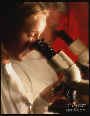 Wall Art - Photograph - Technician Using A Microscope by Science Photo Library