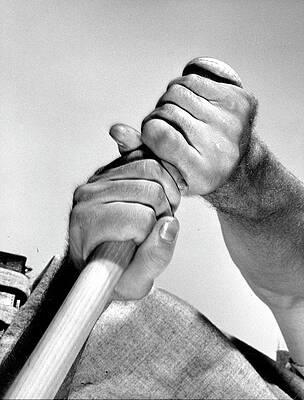Wall Art - Photograph - Ted Williams [Misc.] by Gjon Mili