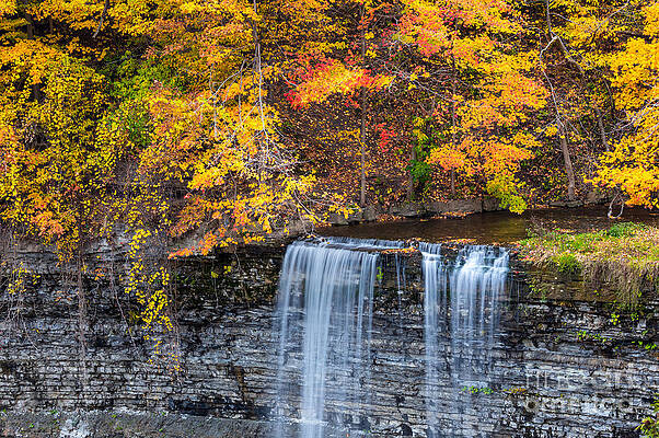 Fall at Tew's Falls by Alma Danison Fall at Tew's Falls by Alma Danison