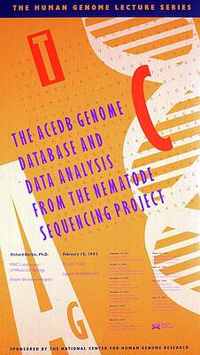 Wall Art - Painting - The Acedb Genome Database And Data Analysis by National Institutes Of Health