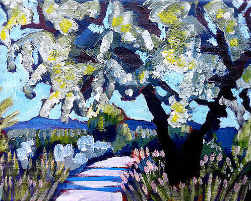 Fort Collins Paintings Fine Art America