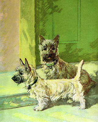 Wall Art - Painting - The Cairn Terrier Pair by Diana Thorne