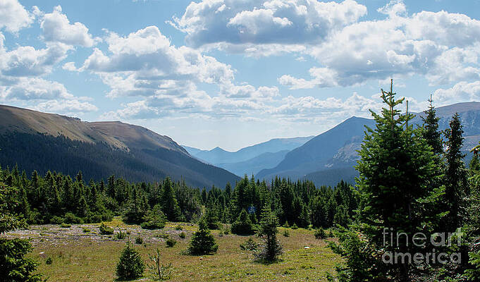 Wall Art - Photograph - The Edge of Forest Canyon by Julia McHugh