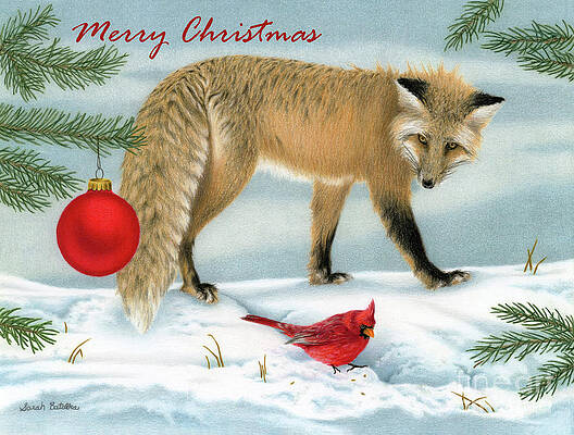 Wall Art - Drawing - The Fox And The Cardinal- Merry Christmas by Sarah Batalka
