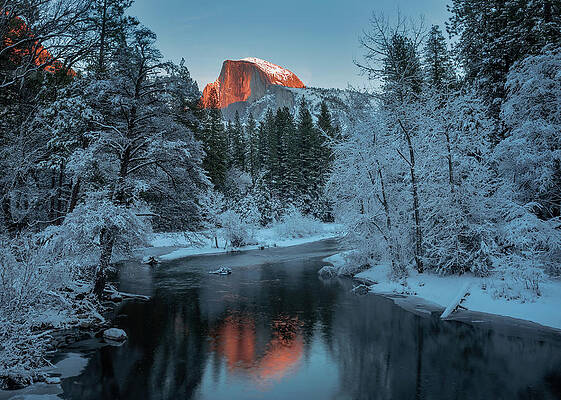 Wall Art - Photograph - The Golden Hat by Annie Poreider