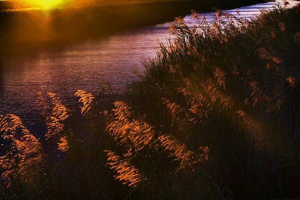The Golden Hour by Chrystyne Novack The Golden Hour by Chrystyne Novack