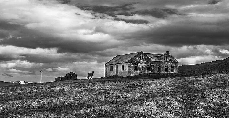 Wall Art - Photograph - The Guard by Bragi Ingibergsson - Brin