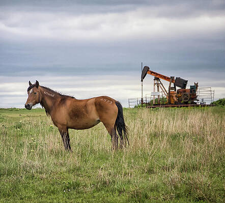 The Horse and the Pump Jack by Jolynn Reed The Horse and the Pump Jack by Jolynn Reed