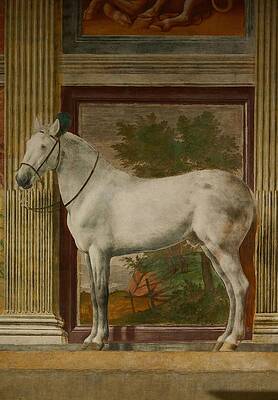 Wall Art - Painting - The Horses' Hall -Salone dei Cavalli- with murals of Federico II Gonzaga's favourite horses. by Giulio Romano -c 1499-1546-
