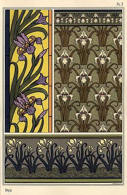 Wall Art - Drawing - The iris in various patterns. by Album