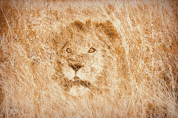 The King by Mark Allen The King by Mark Allen
