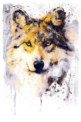 Black Wolf Paintings Fine Art America