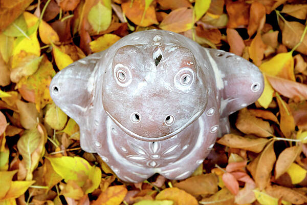 The Prince of Fall by Melanie Maslaniec The Prince of Fall by Melanie Maslaniec
