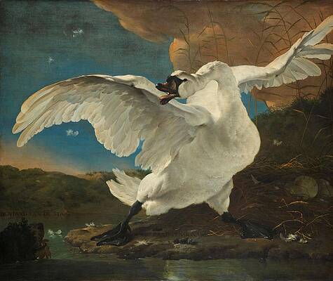 Wall Art - Painting - The Threatened Swan. The Threatened Swan, Interpreted later as an Allegory on Johan de Witt. Dati... by Jan Asselijn