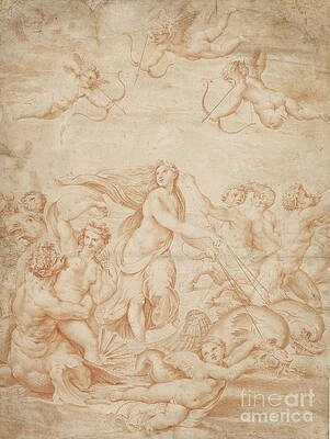 Wall Art - Painting - The Triumph Of Galatea, 16th Century Red Chalk By Raphael by Raphael