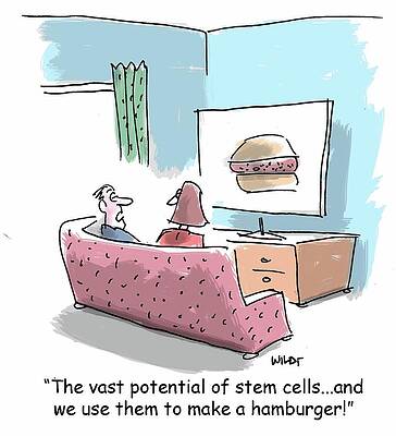 Wall Art - Drawing - The Vast Potential Of Stem Cells...and We Use Them To Make by Chris Wildt