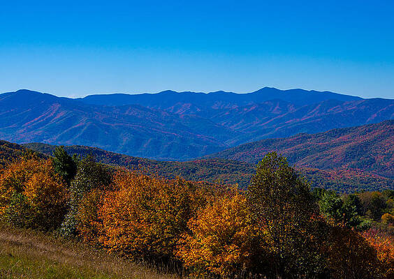Wall Art - Photograph - The View from Max Patch Mountain in the Fall by L Bosco