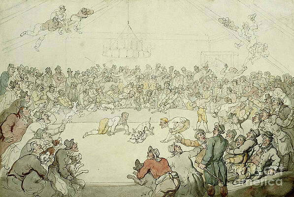 Wall Art - Painting - The Westminster Pitt, 1798 by Thomas Rowlandson