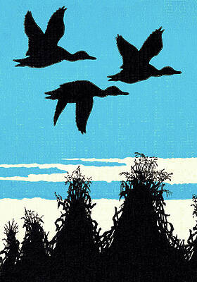 Wall Art - Drawing - Three Ducks Flying at Night by CSA Images