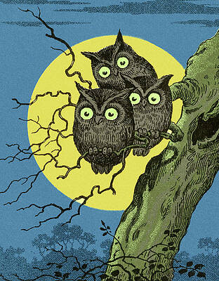 Wall Art - Drawing - Three Owls in a Tree by CSA Images