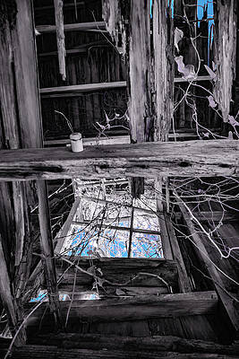 Through The Window by Paula OMalley Through The Window by Paula OMalley