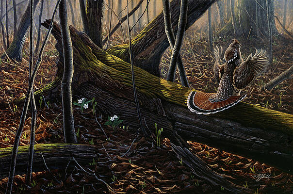 Wall Art - Painting - Thunder In The Woods by Wilhelm Goebel