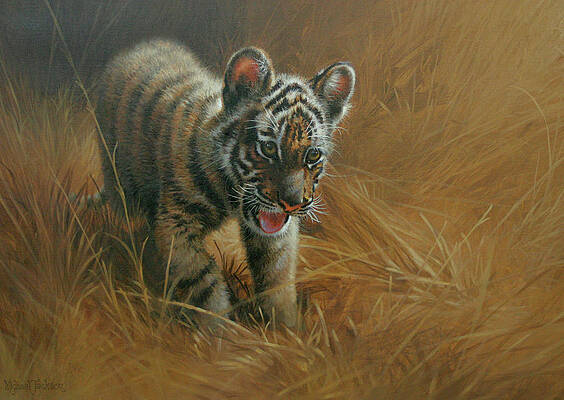 Fine Art America Tiger Cub T-Shirt by John Wills