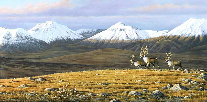Wall Art - Painting - Time Passages Mountain Caribou by Wilhelm Goebel