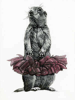 Tiny Dancer by Robin Hesse Tiny Dancer by Robin Hesse