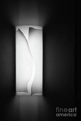 Wall Art - Photograph - To The Light by Marilyn Cornwell