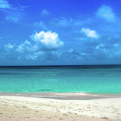 Wall Art - Photograph - Topical Beach View Anguilla by Flippin Sweet Gear